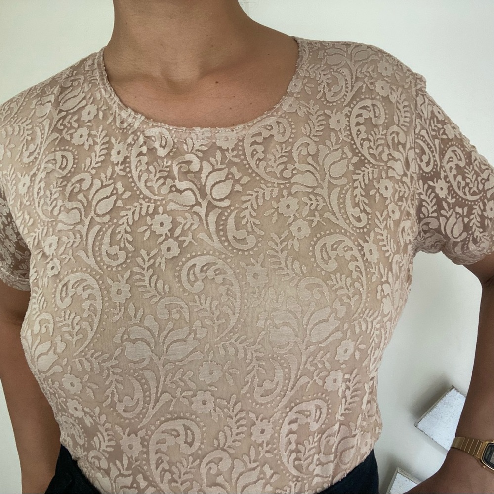 Y2K Semi Sheer Fairy Floral Velvet Top